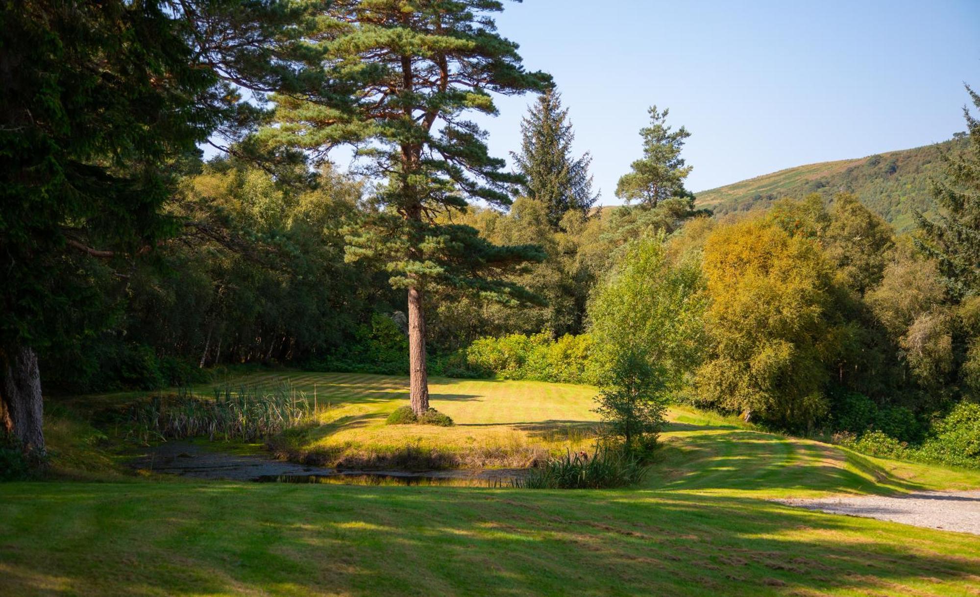 Inveroykel Lodge At Rosehall מראה חיצוני תמונה